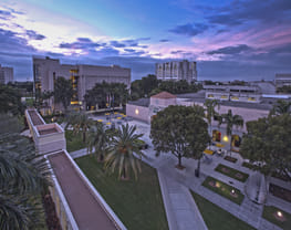 Florida International University